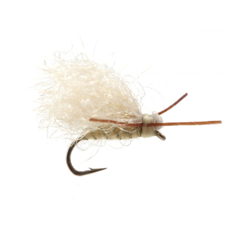 YFG Widowmaker Moth
