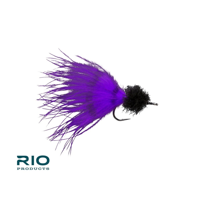 Rio Marabou Toad