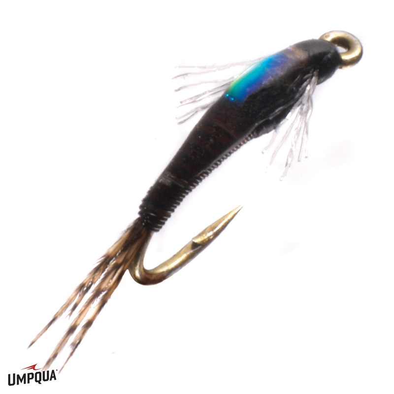 Craven's Juju Baetis