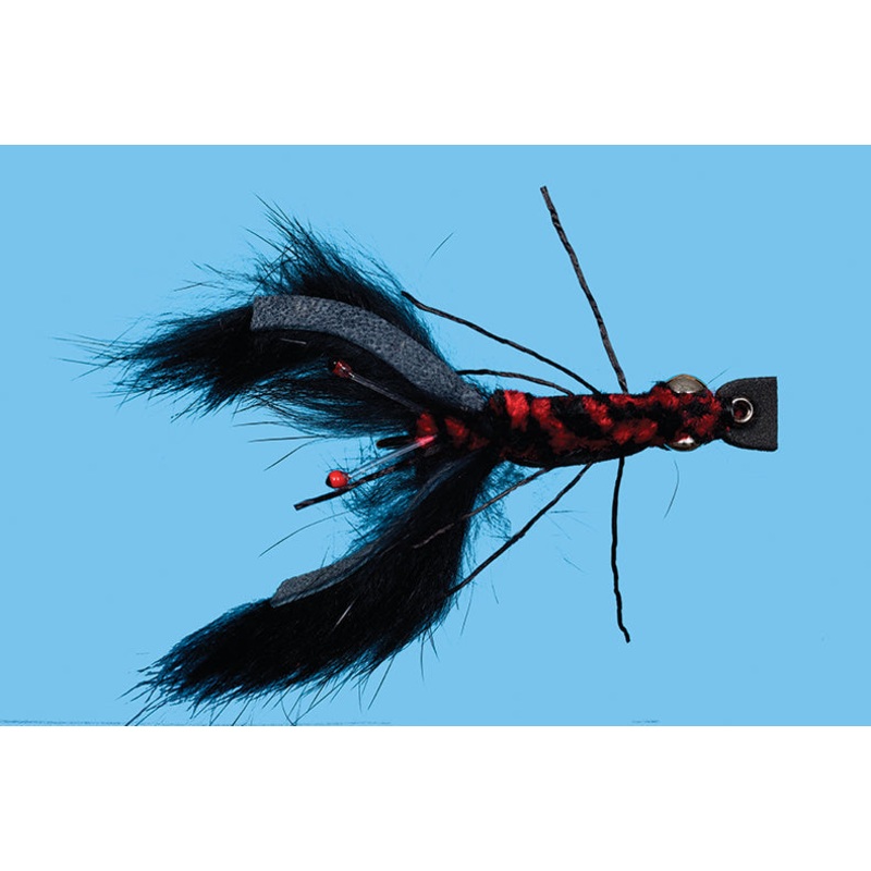 Crawfish Bunny