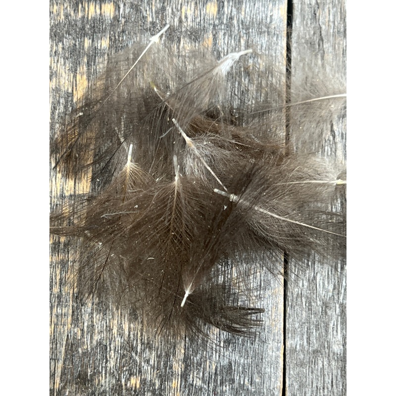 Duck CDC Natural TG