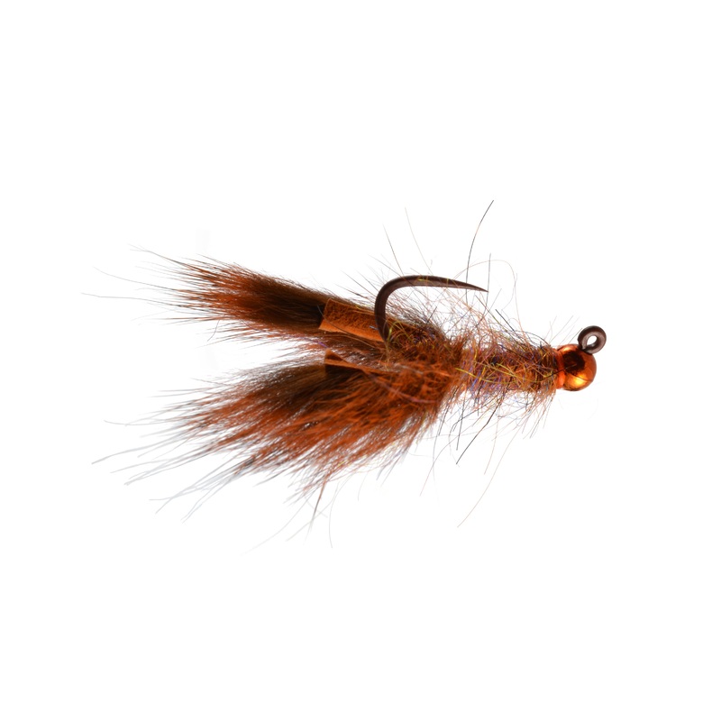 Rainy's Nemo's Baby Craw