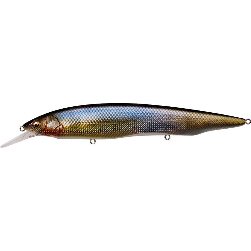 Megabass Kanata +1