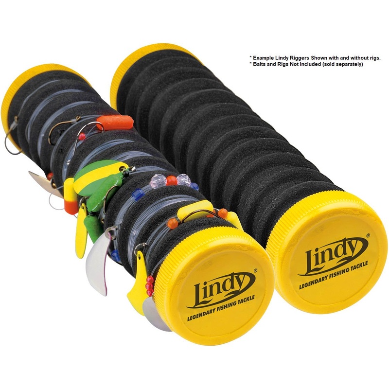 Lindy Rigger Leader Organizer